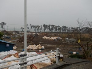 DSCN1521